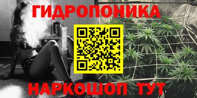 индика Малоярославец